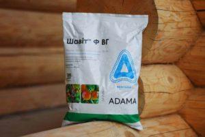 คำแนะนำในการใช้สารป้องกันเชื้อราชวิทสำหรับรักษาองุ่น