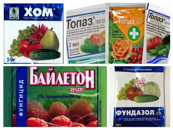 การเตรียมการสำหรับการบำบัดพืชผล