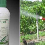 สารฆ่าเชื้อรา