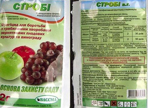 fongicide Strobi