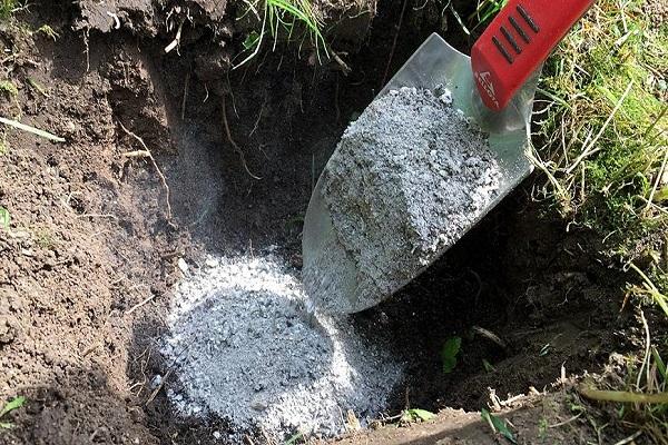 หลุมสำหรับไซต์