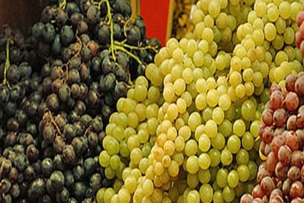 การเก็บเกี่ยวที่ได้รับ