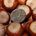 เทรบิซอนด์ เฮเซลนัท