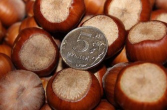 เทรบิซอนด์ เฮเซลนัท