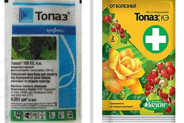 บรรจุภัณฑ์โทแพซ