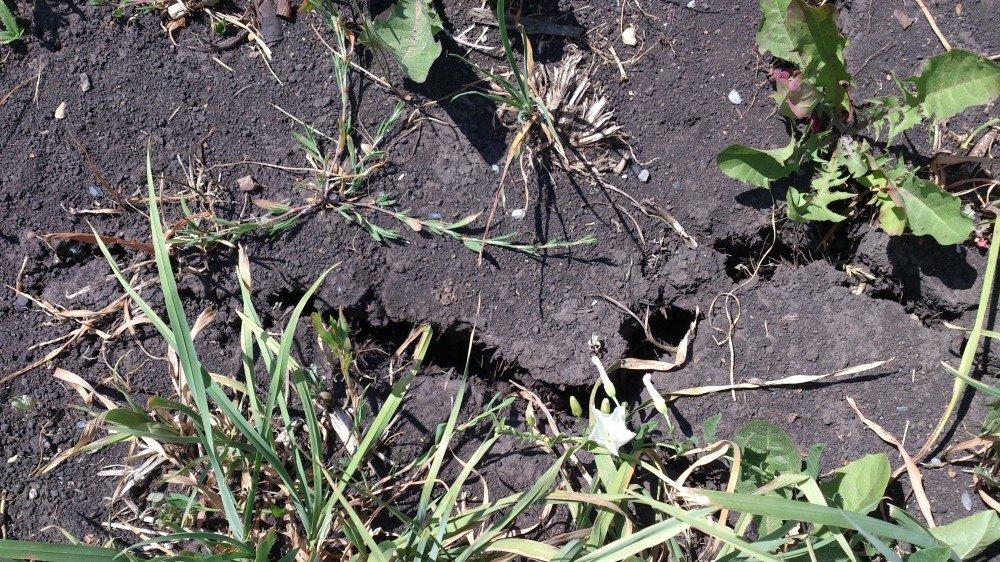 รอยแตกบนพื้นดิน