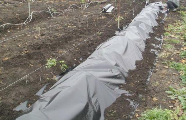 ที่พักพิงสำหรับฤดูหนาว