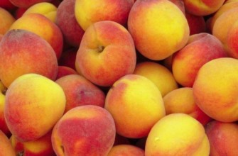 ลูกพีชสุกช้า