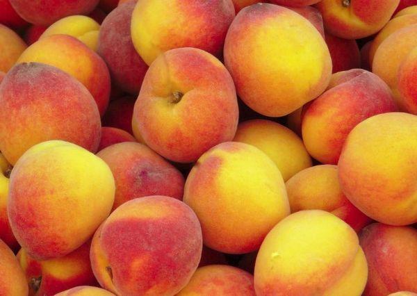 Pêches à maturation tardive