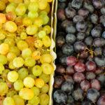 เก็บเกี่ยว