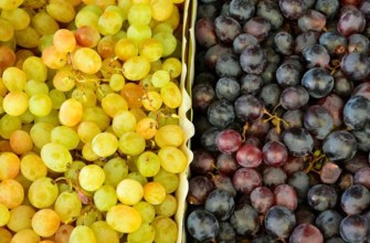 เก็บเกี่ยว