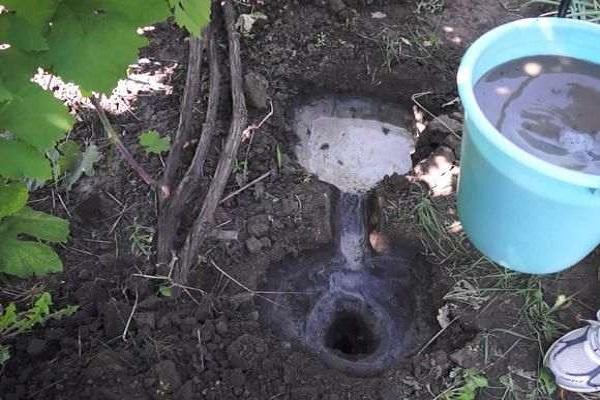 การเติมน้ำ