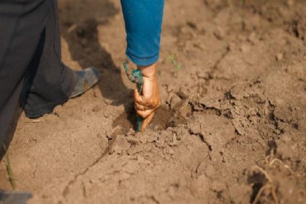 préparation du site