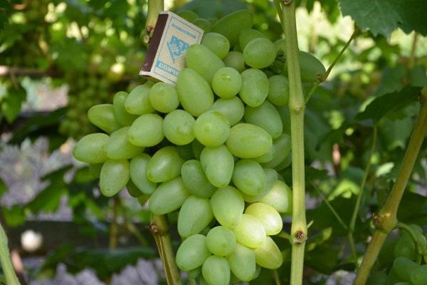 une boîte d'allumettes