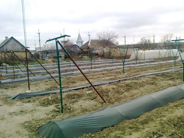 การเตรียมตัวรับมือฤดูหนาว