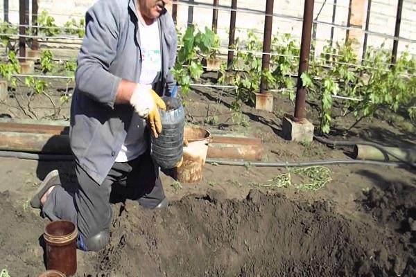 การเตรียมพื้นที่