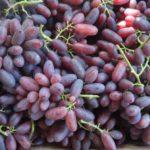 องุ่นและผลเบอร์รี่