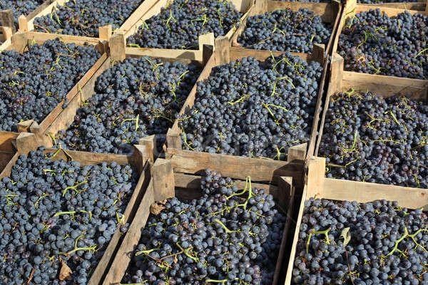 เก็บเกี่ยว