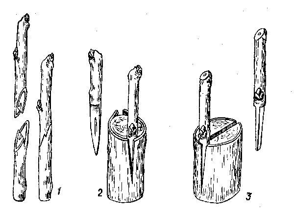 การต่อกิ่งองุ่น