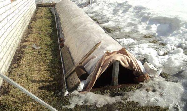 ที่พักองุ่น