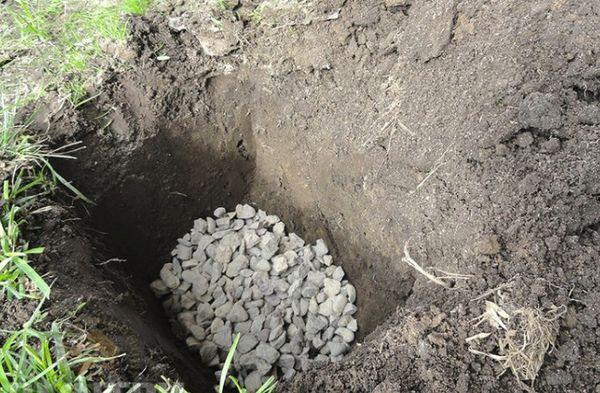 การเตรียมหลุม