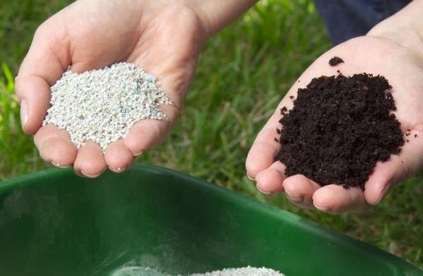 ปุ๋ยและการให้อาหาร