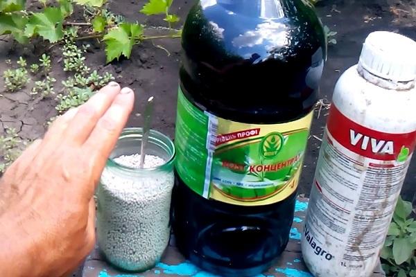 ปุ๋ยแร่ธาตุ