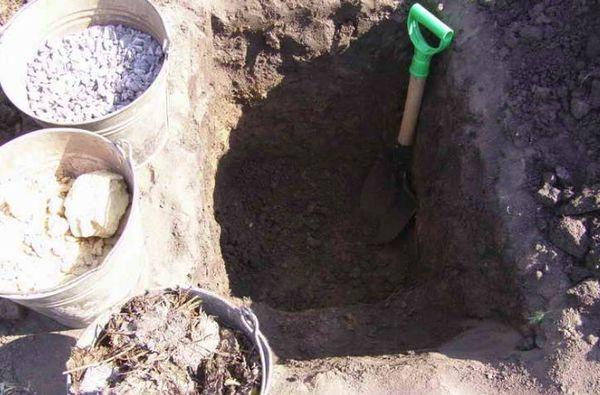 หลุมองุ่น