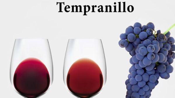 องุ่นในกระบวนการผลิตไวน์