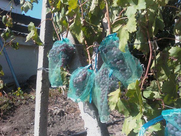 ตาข่ายสำหรับป้องกัน