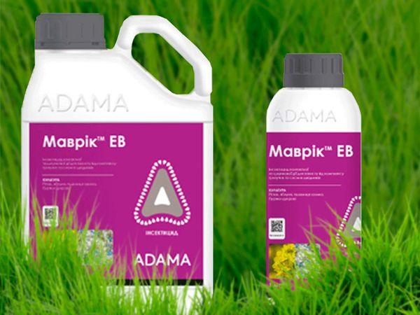 ยามาฟริก