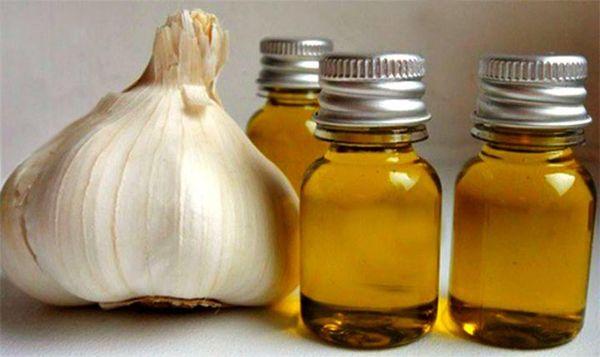 การแช่กระเทียม