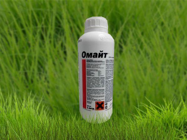 ยาโอมิเต้