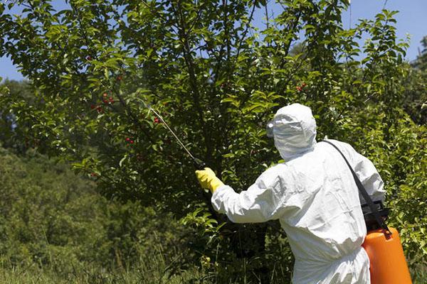 transformation du bois