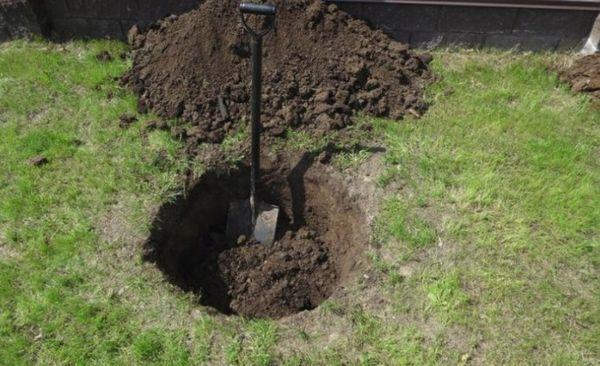 หลุมต้นเชอร์รี่