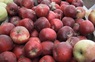 แอปเปิ้ลสีแดง