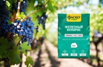 เฟอรัสซัลเฟต