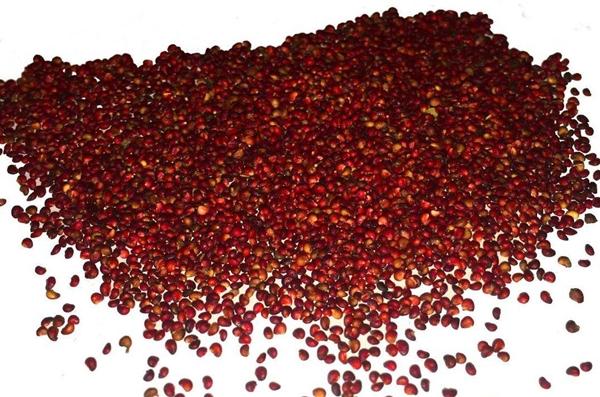 เมล็ดสตรอเบอร์รี่