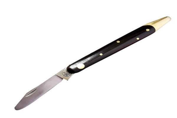 มีดกำลังแตกหน่อ