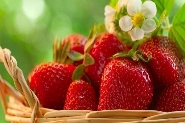 ช้างสตรอเบอร์รี่