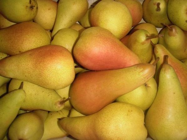 แพร์ แอ็บบอต เวทเทล