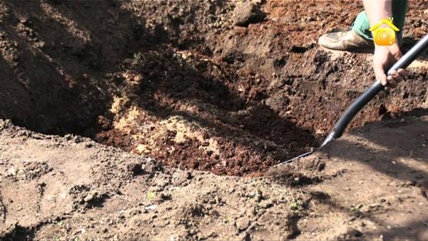 Atterrissage de la colombe