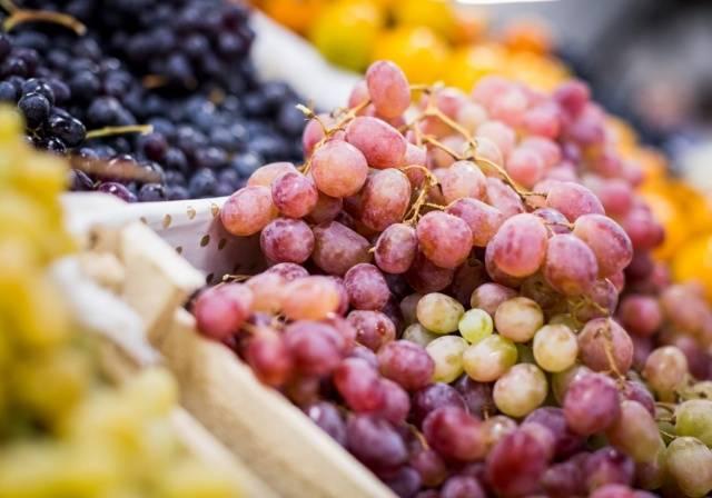 พันธุ์ไม้ต่างๆ