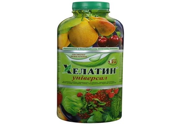 เฮลาติน