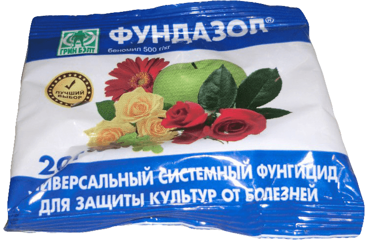 การใส่ปุ๋ยองุ่น