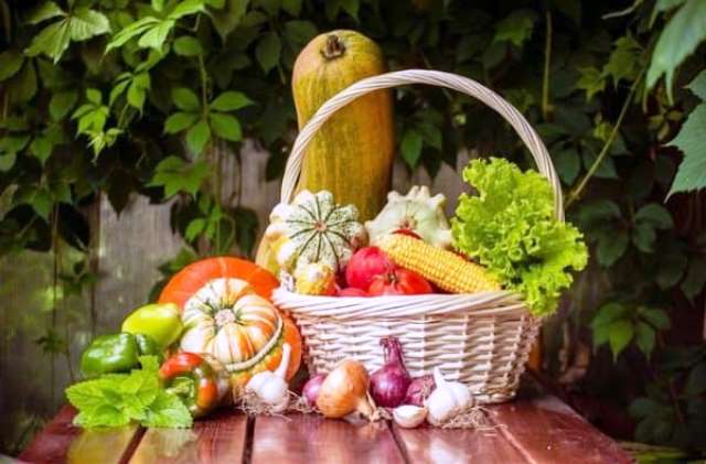 ผักมากมาย