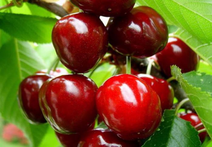 ประภาคารเชอร์รี่