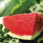 แตงโมหั่น