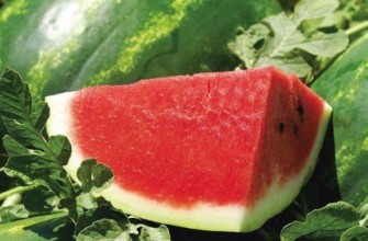 แตงโมหั่น