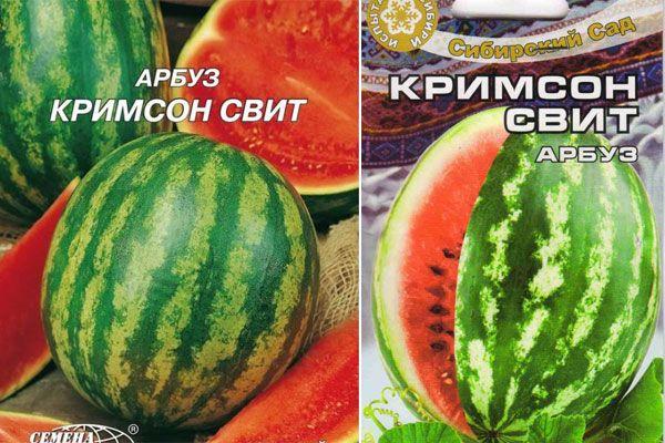 ลักษณะและเทคโนโลยีการปลูกแตงโมพันธุ์คริมสันสวีท